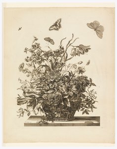 Placa 10, do conjunto de flores em uma cesta de Jean Baptiste Monnoyer