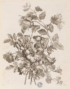 Placa de "O livro de todos os tipos de flores da natureza"