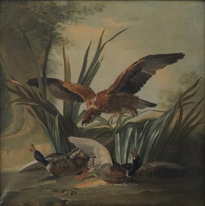 Um falcão perfurando um par de patos de Jean Baptiste Oudry
