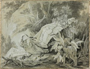 Um cisne selvagem atacado por um cão de Jean Baptiste Oudry
