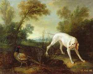 Blanche, cadela do Royal Hunting Pack de Jean Baptiste Oudry