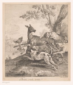 Veado atacado por cães de caça Arrêtés, cruels, arrêtez (...) (título no objeto) Cenas de caça (título da série) de Jean Baptiste Oudry