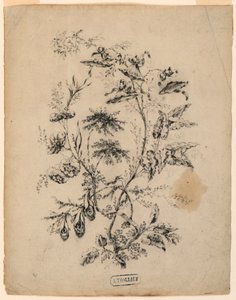 Desenho, Ramo de uma árvore fantástica, 1775-1800 de Jean Baptiste Pillement