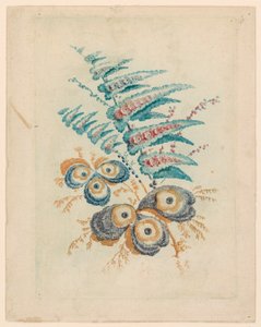 Fantastic Flower Motif de Nouvelle Suitete de Cahiers de Fleurs Idéales de Jean Baptiste Pillement