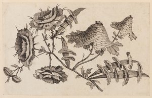 Ramo de Flores, da "Coleção de Flores Chinesas" de Jean Baptiste Pillement