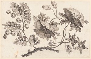 Ramo de Flores, da "Coleção de Flores Chinesas" de Jean Baptiste Pillement