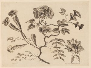 Ramos de flores, de "Coleção de diferentes flores de fantasia no gosto chinês" de Jean Baptiste Pillement