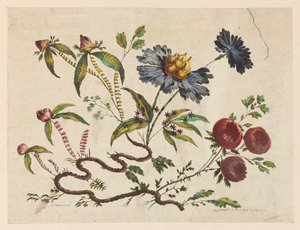 Ramos de flores, de "Coleção de diferentes flores de fantasia no gosto chinês"