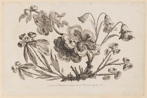 Ramos de Flores, de "Recueil de Fleurs de Chinois" de Jean Baptiste Pillement