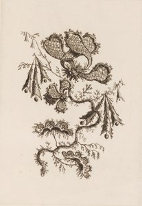 Ramo de Flor, de "Fleurs Persanes" de Jean Baptiste Pillement