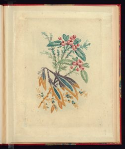 Desenho Ornamental com Pequenas Flores Vermelhas e Bagas, da Nova Suíte de Cadernos de Flores Naturais para Uso de Desenhistas e Pintores, No.1 de Jean Baptiste Pillement