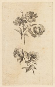 Dois ramos de flores de Jean Baptiste Pillement