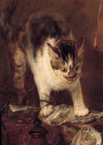 A natureza morta patina de peixe, ostras, jarro. Detalhe de gato. Pintura de Jean Baptiste Simeon Chardin (1699-1779) 1727 Sol. 1,14 x 1,46 m Paris. Museu do Louvre de Jean-Baptiste Simeon Chardin