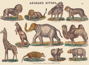 Vários animais, c.1840-1852 (litografia) de Jean Baptiste Thiebault
