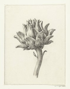 Artisjok de Jean Bernard
