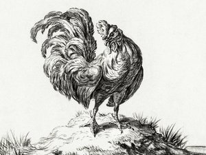 Frango, em pé numa colina de Jean Bernard