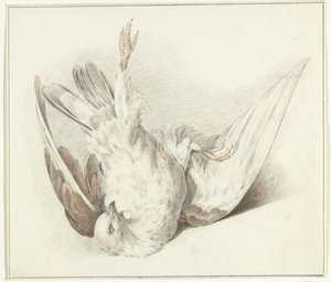 Pombo morto