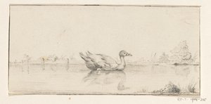 Pato na água de Jean Bernard