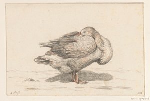 Gans de Jean Bernard