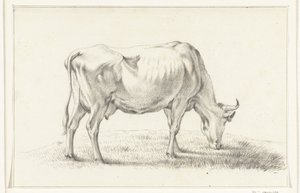 Vaca de pasto, à direita de Jean Bernard