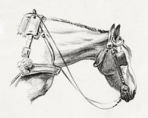 Cabeça de cavalo (1820) de Jean Bernard