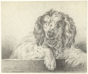 Hond de Jean Bernard