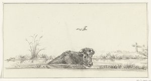 A vaca na água de Jean Bernard