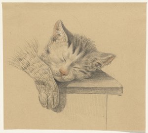 Cabeça e pata de um gato adormecido de Jean Bernard