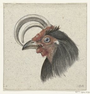 Cabeça de um galo de Jean Bernard