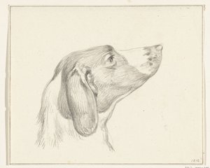 Cabeça de um cão, à direita de Jean Bernard