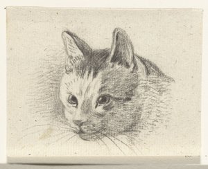 Cabeça de um gato de Jean Bernard