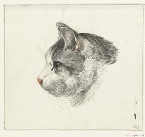 Cabeça de um gato, à esquerda de Jean Bernard