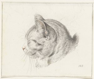 Cabeça de um gato, à esquerda de Jean Bernard