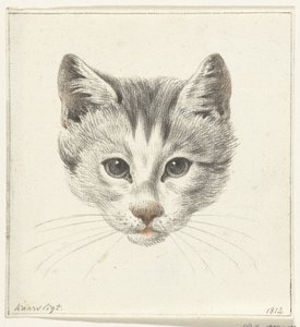 Cabeça de um gato, vista de frente à luz das velas de Jean Bernard