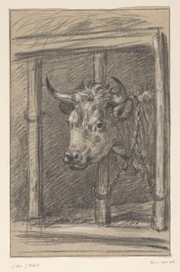 Cabeça de vaca, pelas grades de um estábulo de Jean Bernard