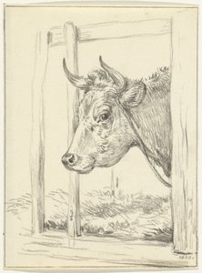 Cabeça de vaca, em um estábulo, à esquerda de Jean Bernard