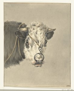 Cabeça de vaca, com um anel no nariz, de frente de Jean Bernard