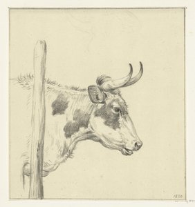 Cabeça de vaca, à direita de Jean Bernard