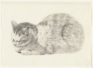 Gato deitado, à esquerda de Jean Bernard