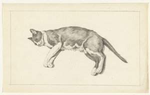 Gato deitado, à esquerda, visto de cima de Jean Bernard