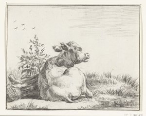 Vaca reclinada, por trás de Jean Bernard