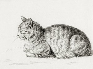 Gato Deitado (1811) de Jean Bernard
