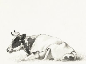 «Vaca Deitada», de Jean Bernard de Jean Bernard