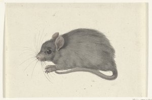 Rato, à esquerda de Jean Bernard