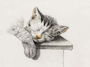 Esboço de um gato a dormir de Jean Bernard