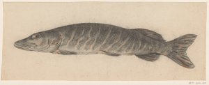 Pike, à esquerda de Jean Bernard