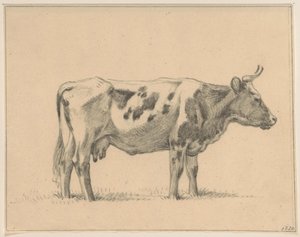 Vaca em pé, à direita de Jean Bernard