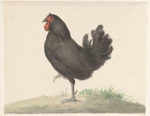galinha preta em pé de Jean Bernard
