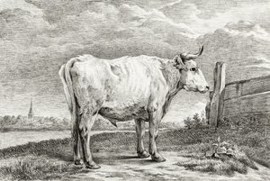 Standing Bull (1817) de Jean Bernard