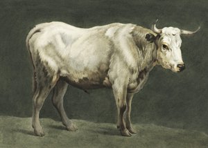 Pintura de Standing Bull de Jean Bernard